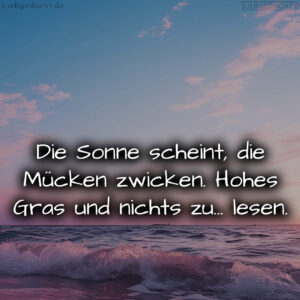 1716024888664876381bb6c