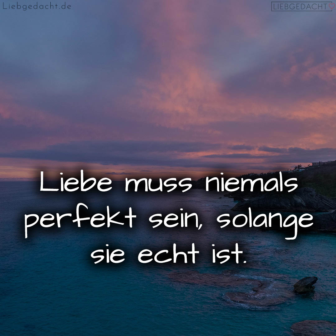 17160513496648dd957b13d