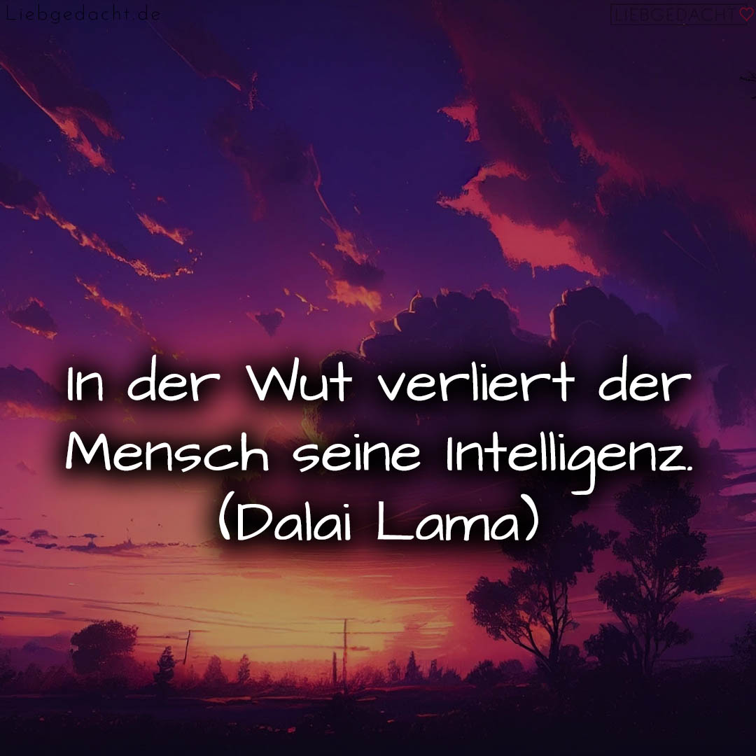 17160513526648dd98e3814