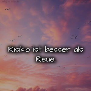 1716372550664dc4467333c