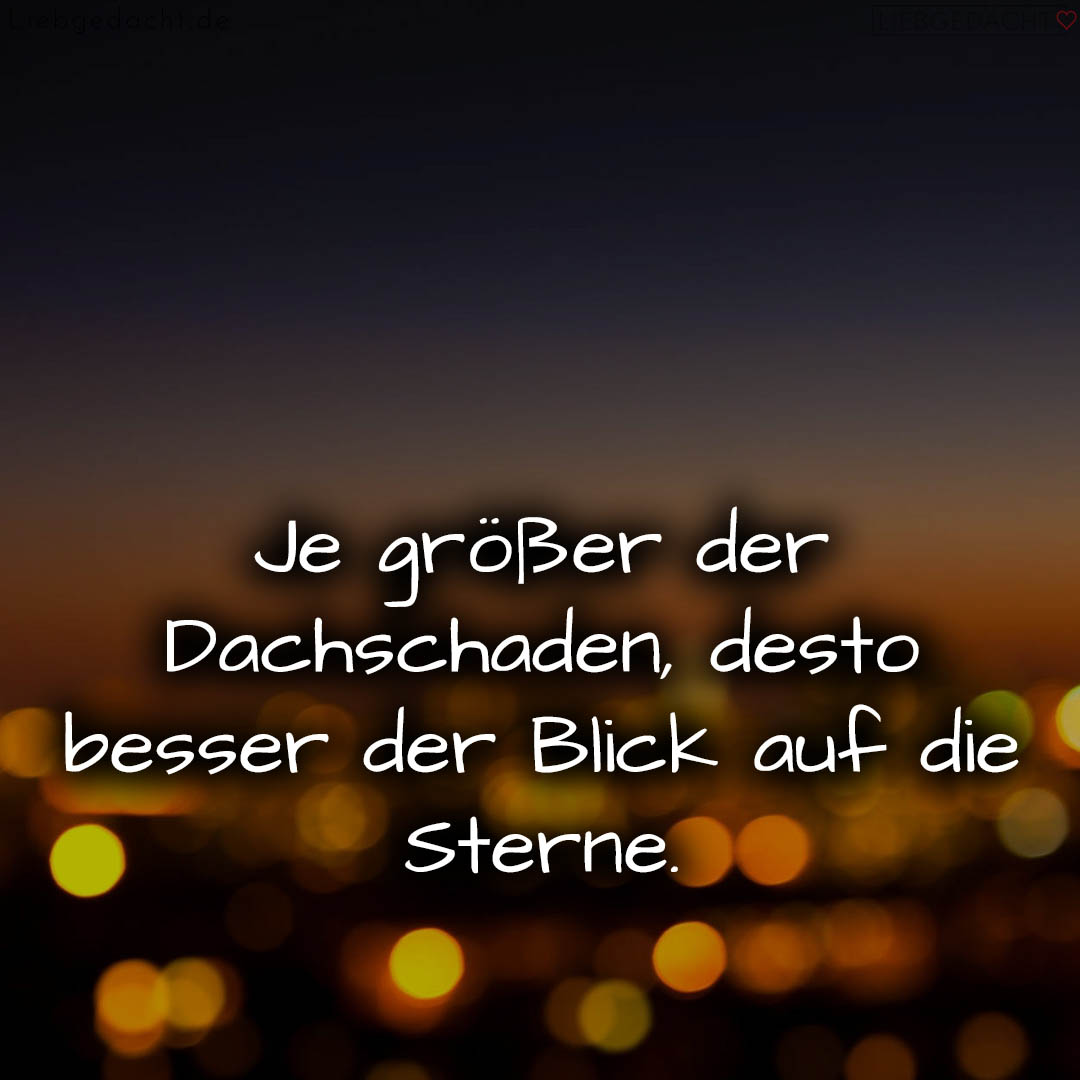 1716372555664dc44b01502