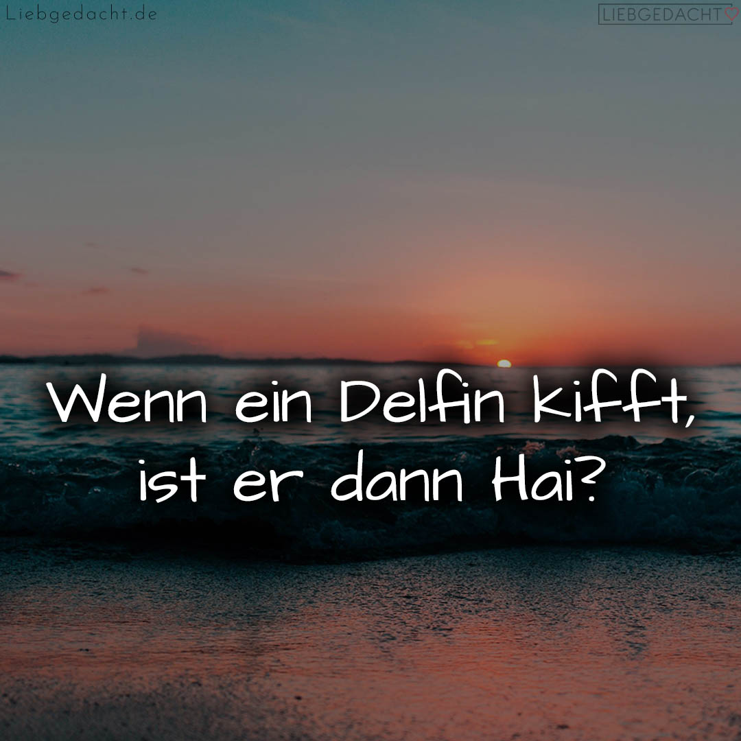 1716372563664dc4538e865