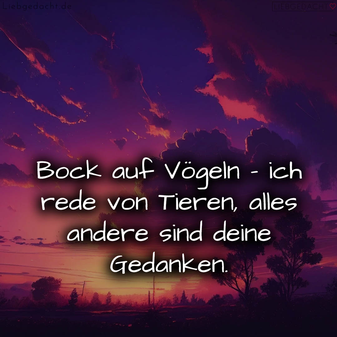 1716372573664dc45d9ef64