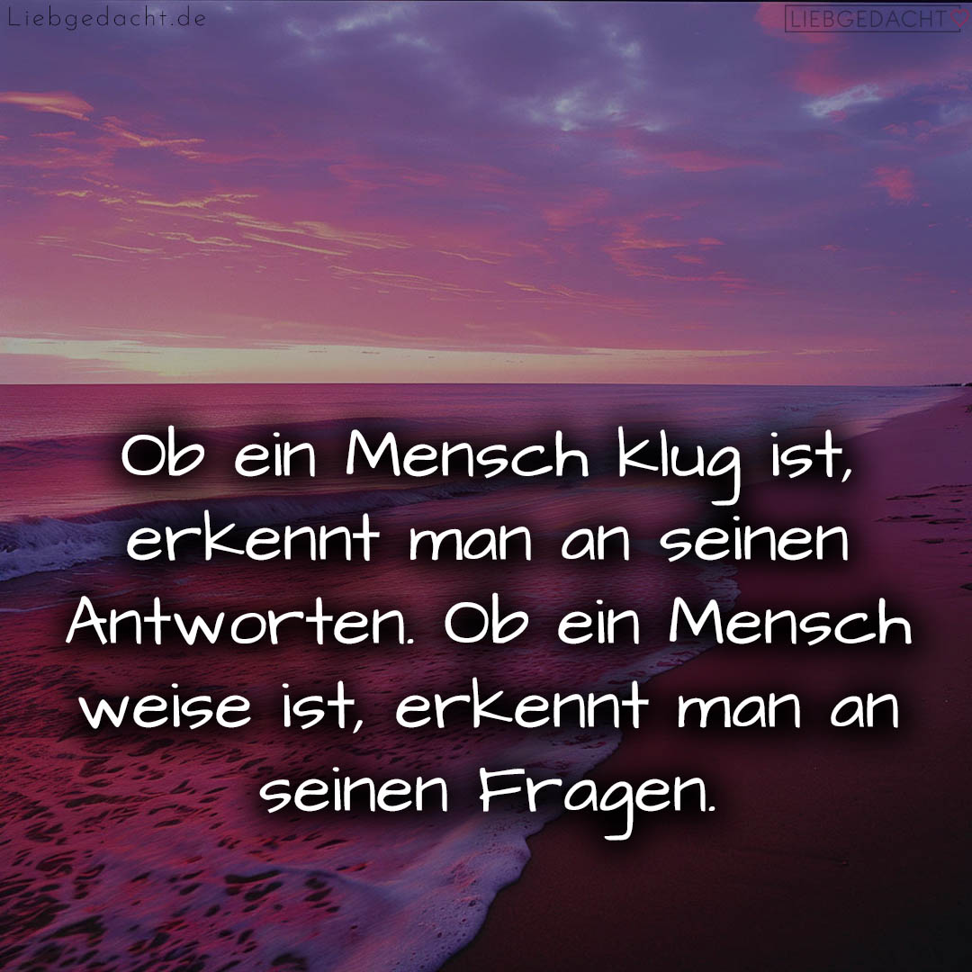 1716372617664dc4897f6fd