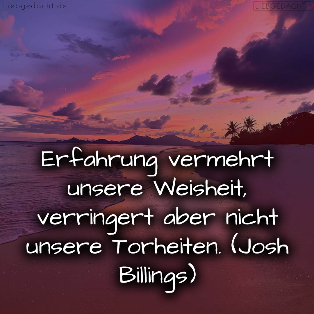 1716372625664dc491cfb57