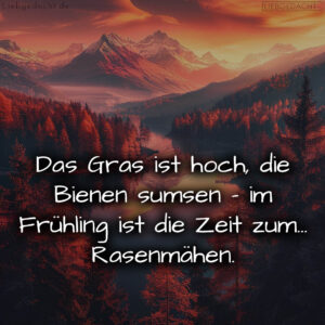 1716372646664dc4a6de3da