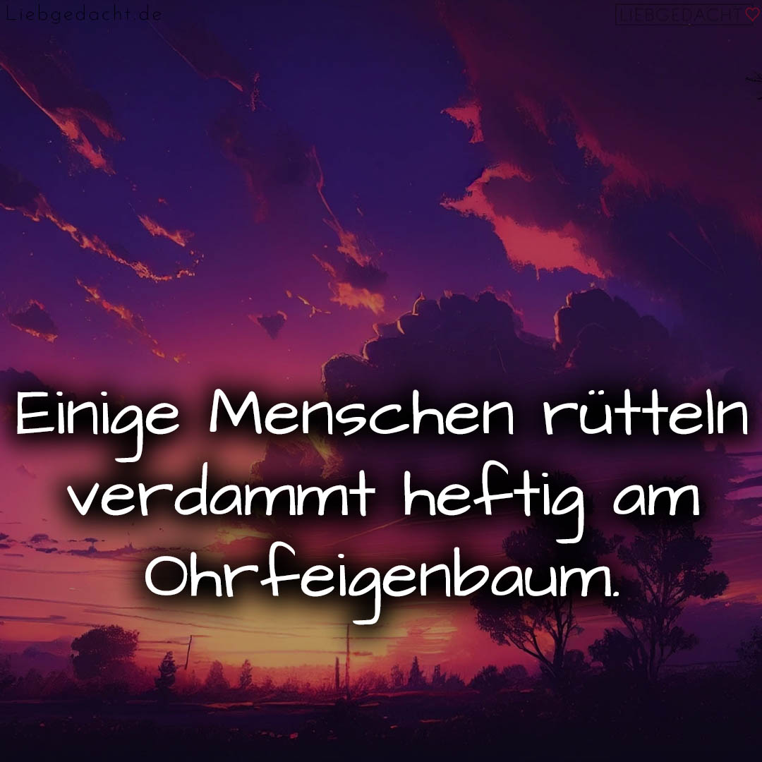 1716372676664dc4c440a35