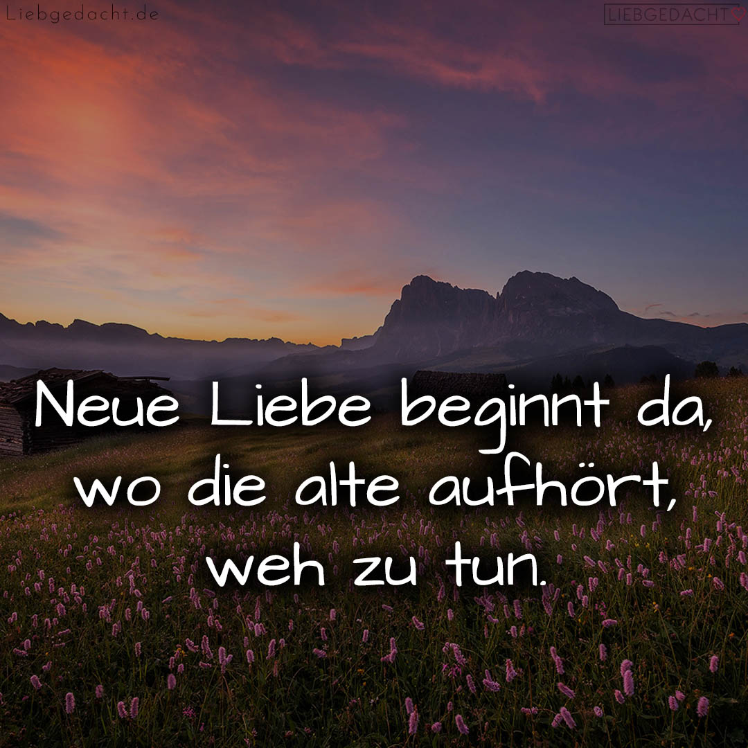 1716372694664dc4d69b526