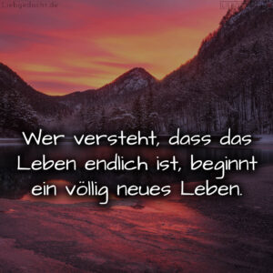 1716372747664dc50b47fe8