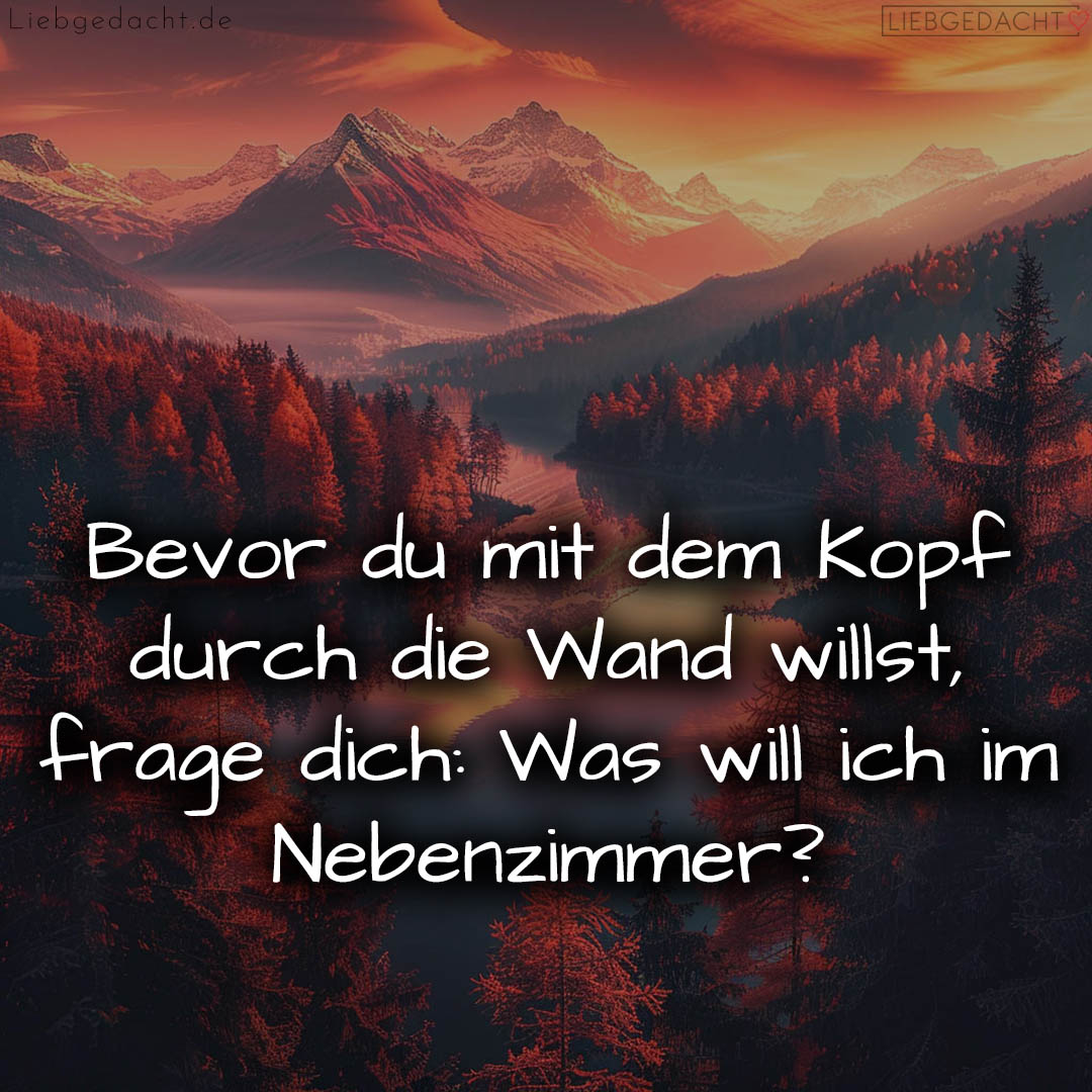 1716372750664dc50ee33f3