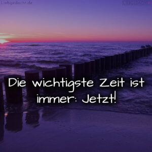 1716372768664dc520e3a48