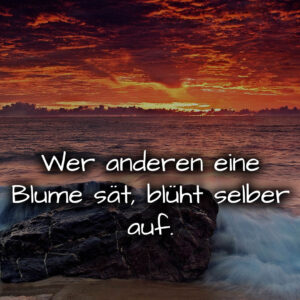 1716372803664dc5436e02d