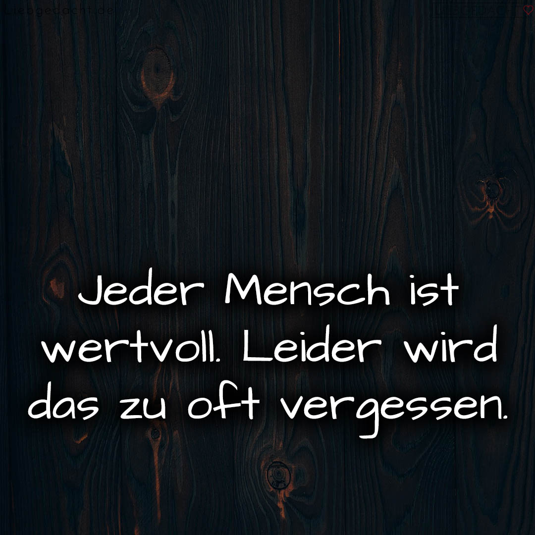 1716372866664dc5822b62d