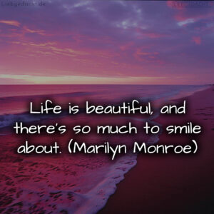 1716372879664dc58f22cd0