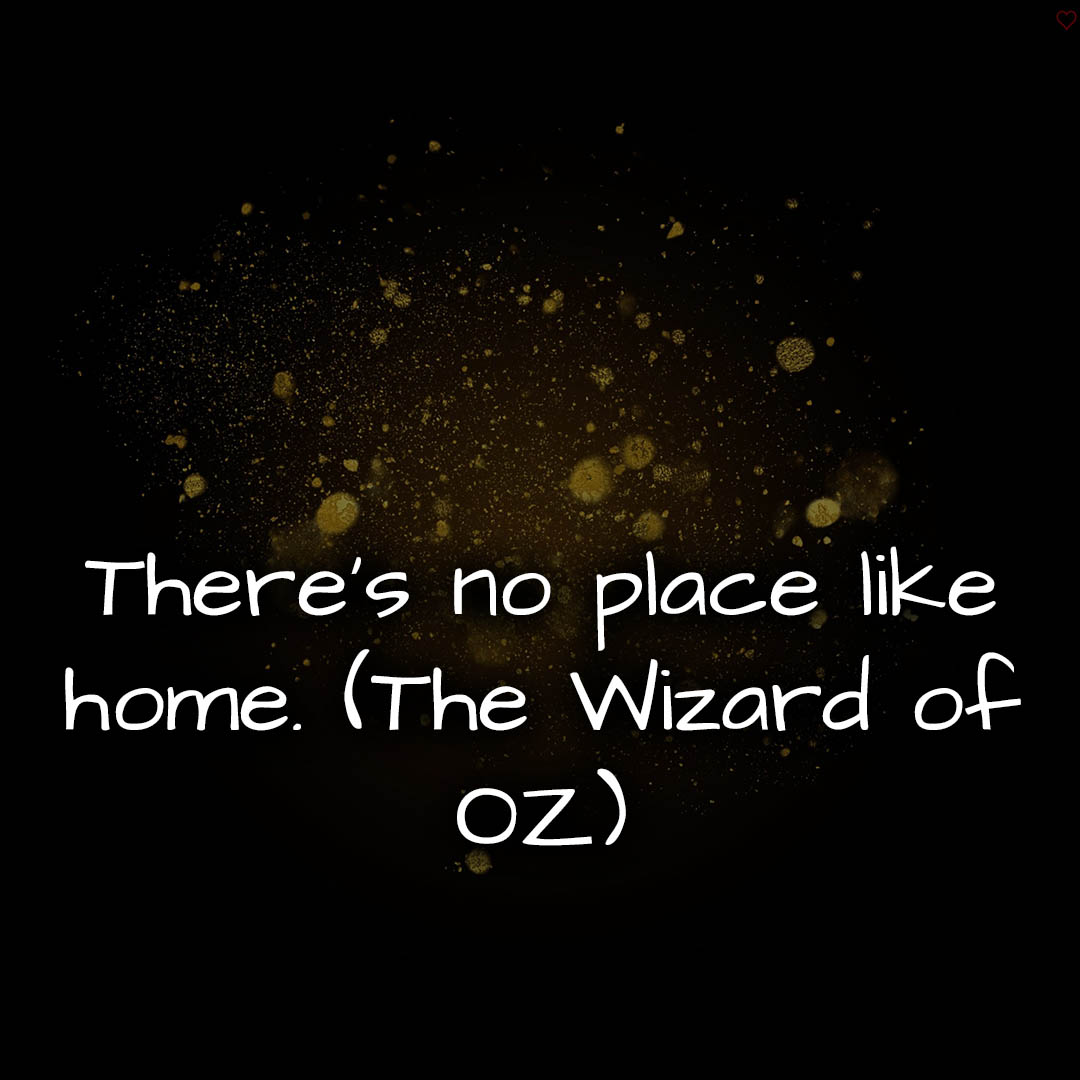 1716372888664dc59811a34