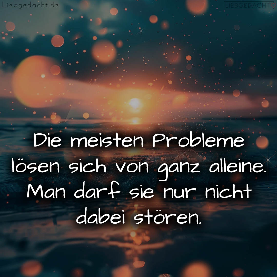 1716372900664dc5a464a64