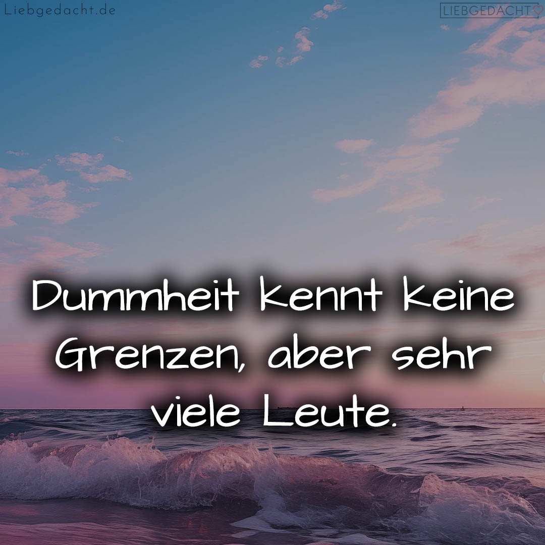 1716372916664dc5b4a2a79