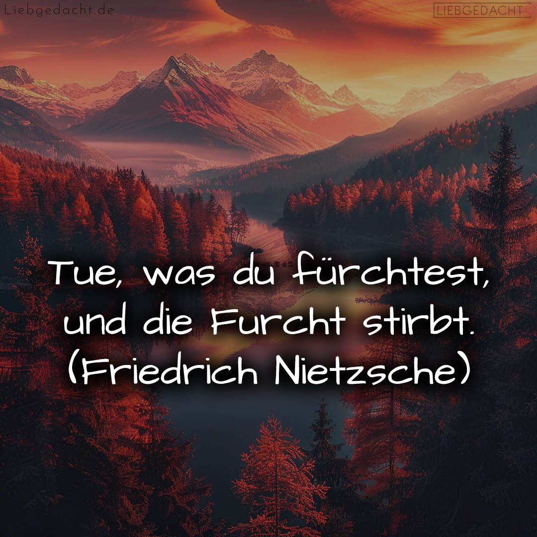 1716372920664dc5b8b8139