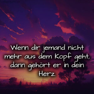 1716372957664dc5dd8cd1b