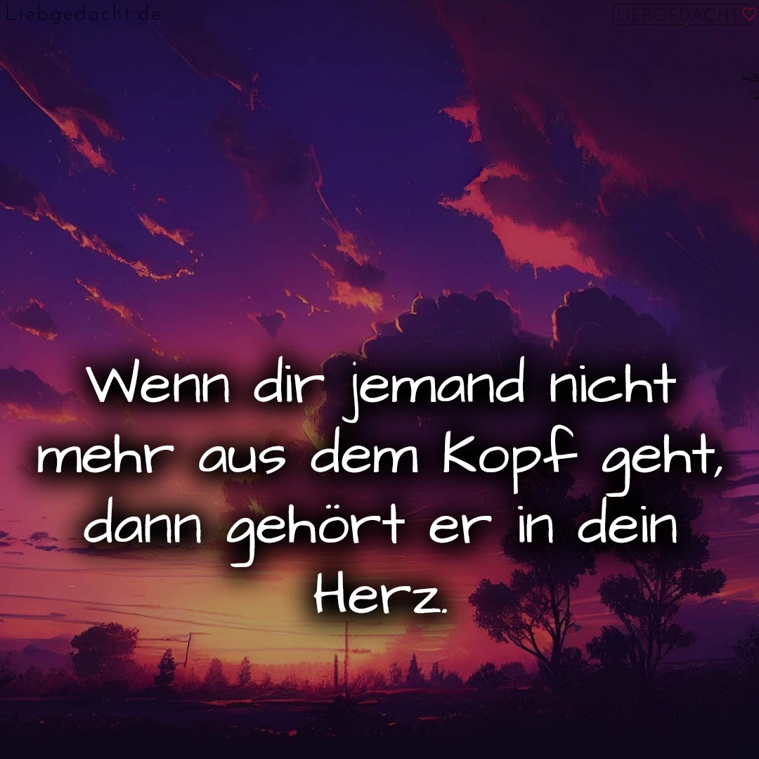 1716372957664dc5dd8cd1b