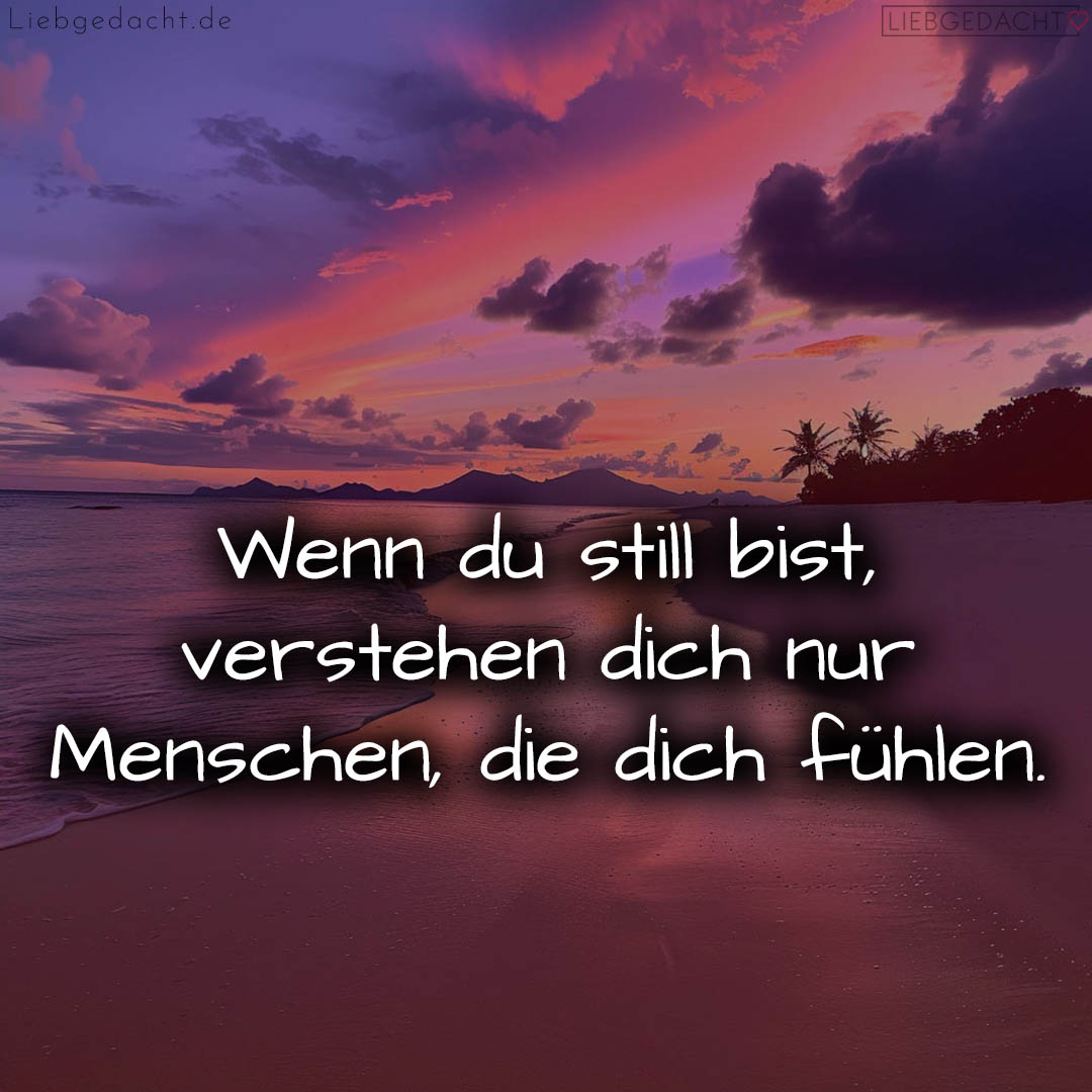 1716372994664dc602bff66