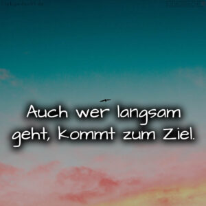 1716373001664dc609013d3