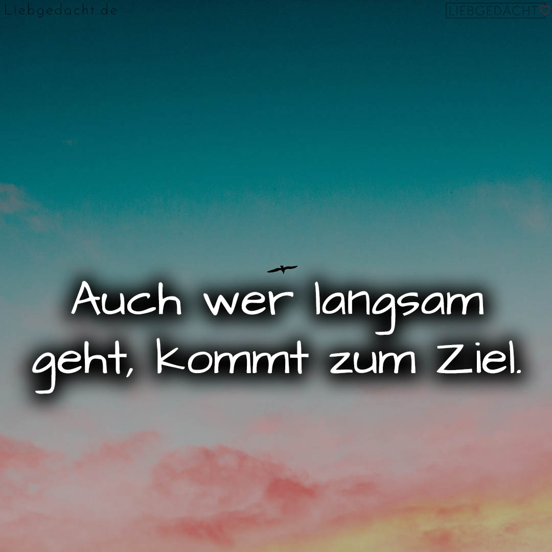 1716373001664dc609013d3