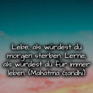 1716373015664dc61767572