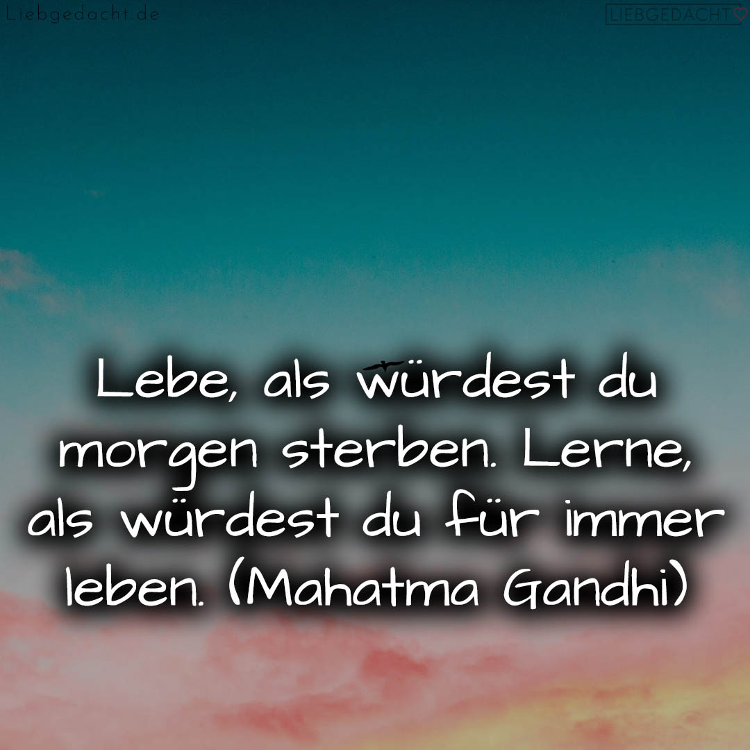 1716373015664dc61767572