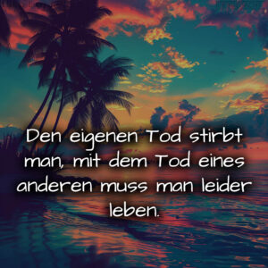 1716373192664dc6c8db156