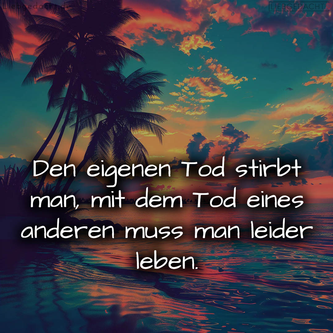 1716373192664dc6c8db156