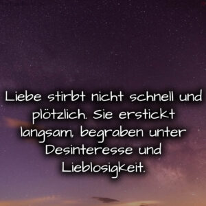 1716373212664dc6dc7d901