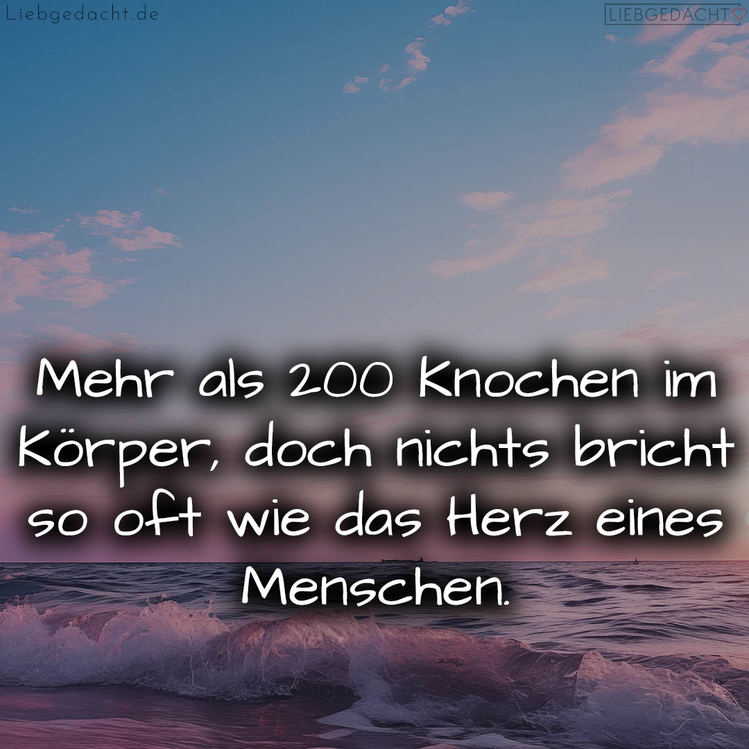 1716373214664dc6de673a0