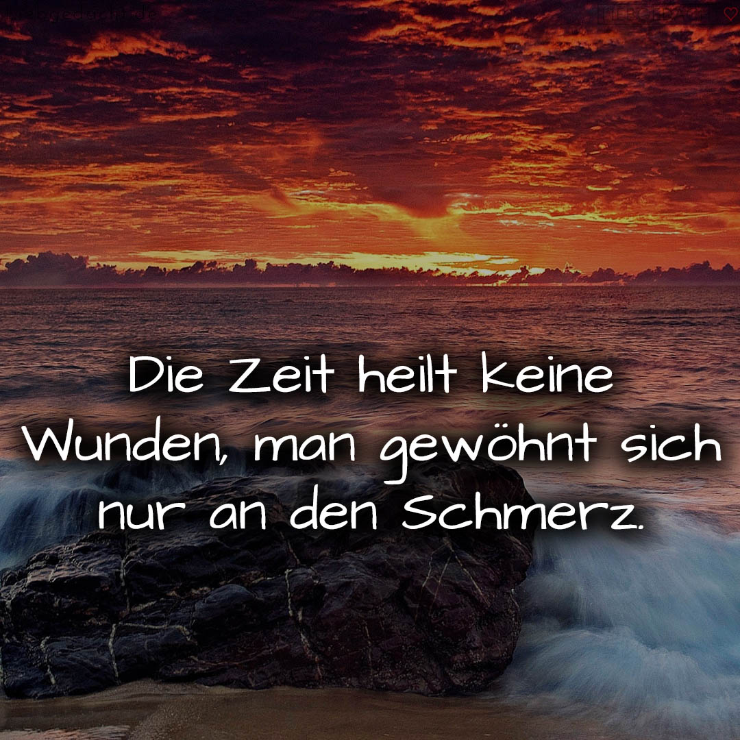 1716373279664dc71f8d942