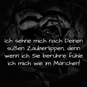 1716373313664dc7411210a