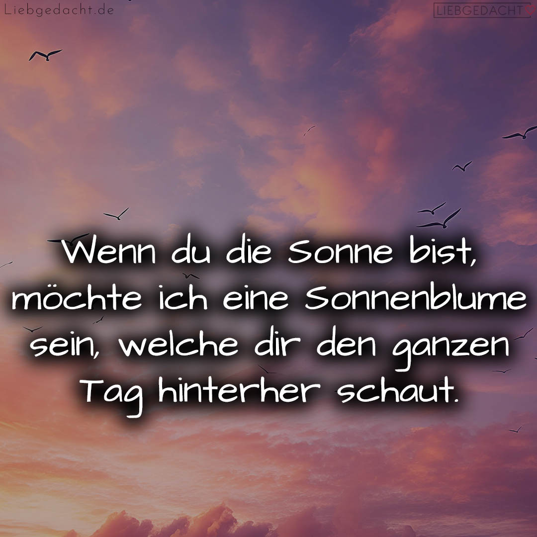 1716373319664dc747f1fc2