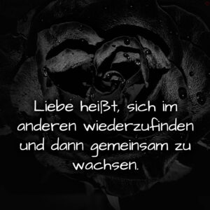 1716373363664dc773213df