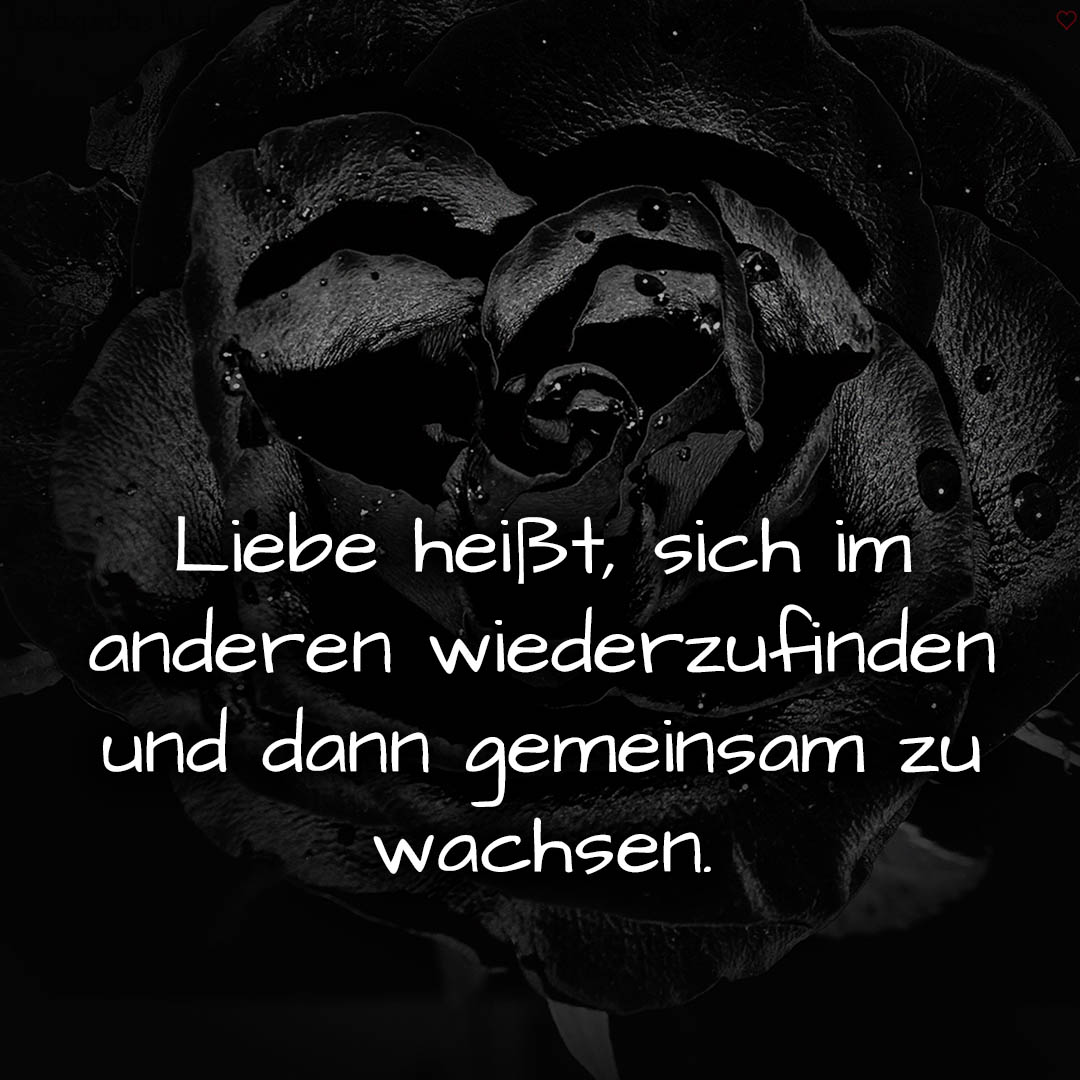 1716373363664dc773213df