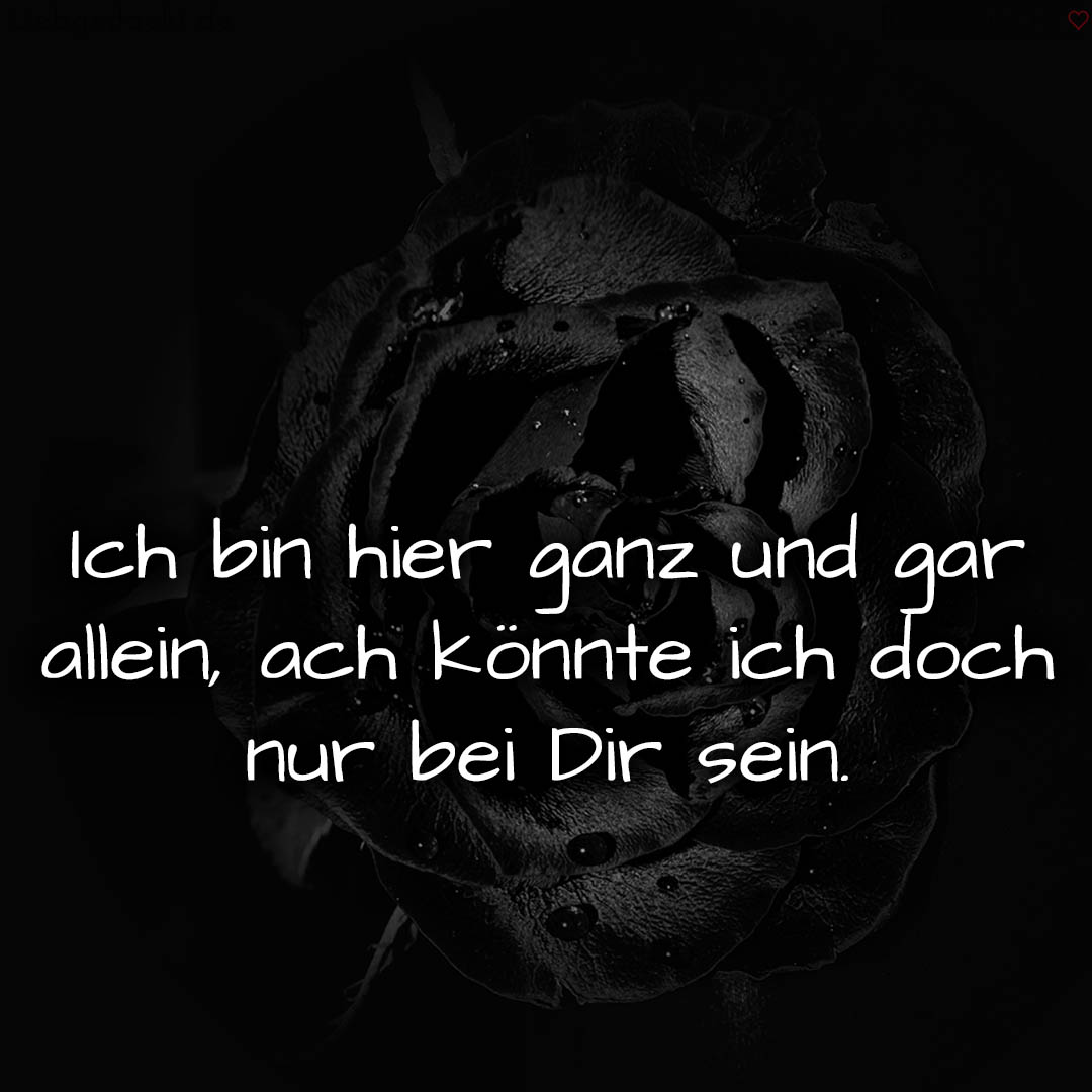 1716373378664dc782706d8