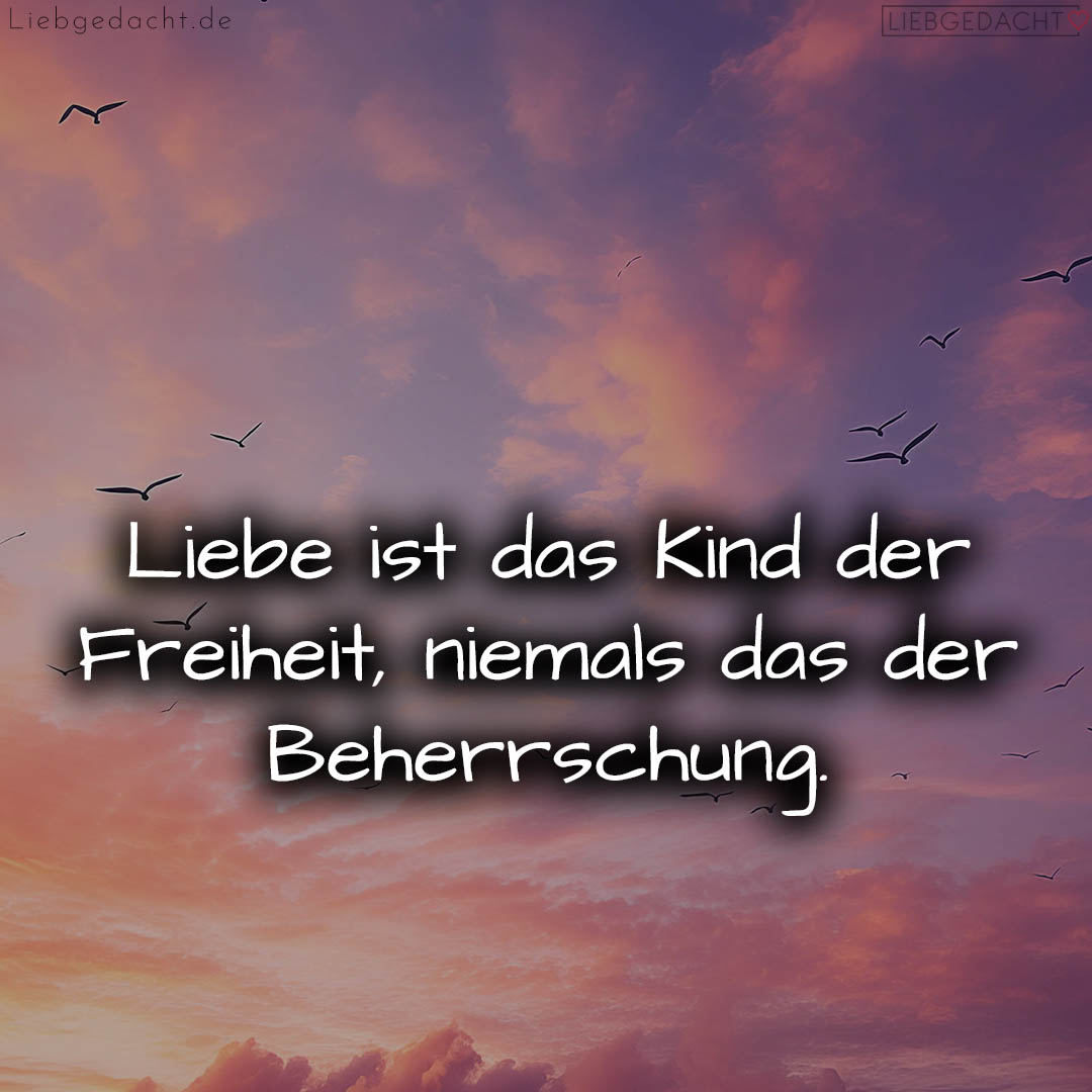 1716373417664dc7a9aca66