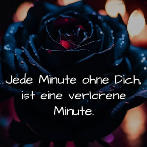 1716373464664dc7d8d4101