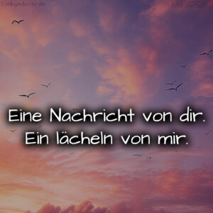 1716373478664dc7e6980e6