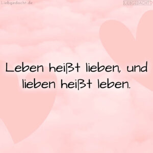 1716373481664dc7e934722