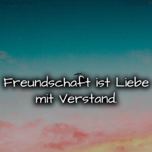 1716373486664dc7ee94dd9