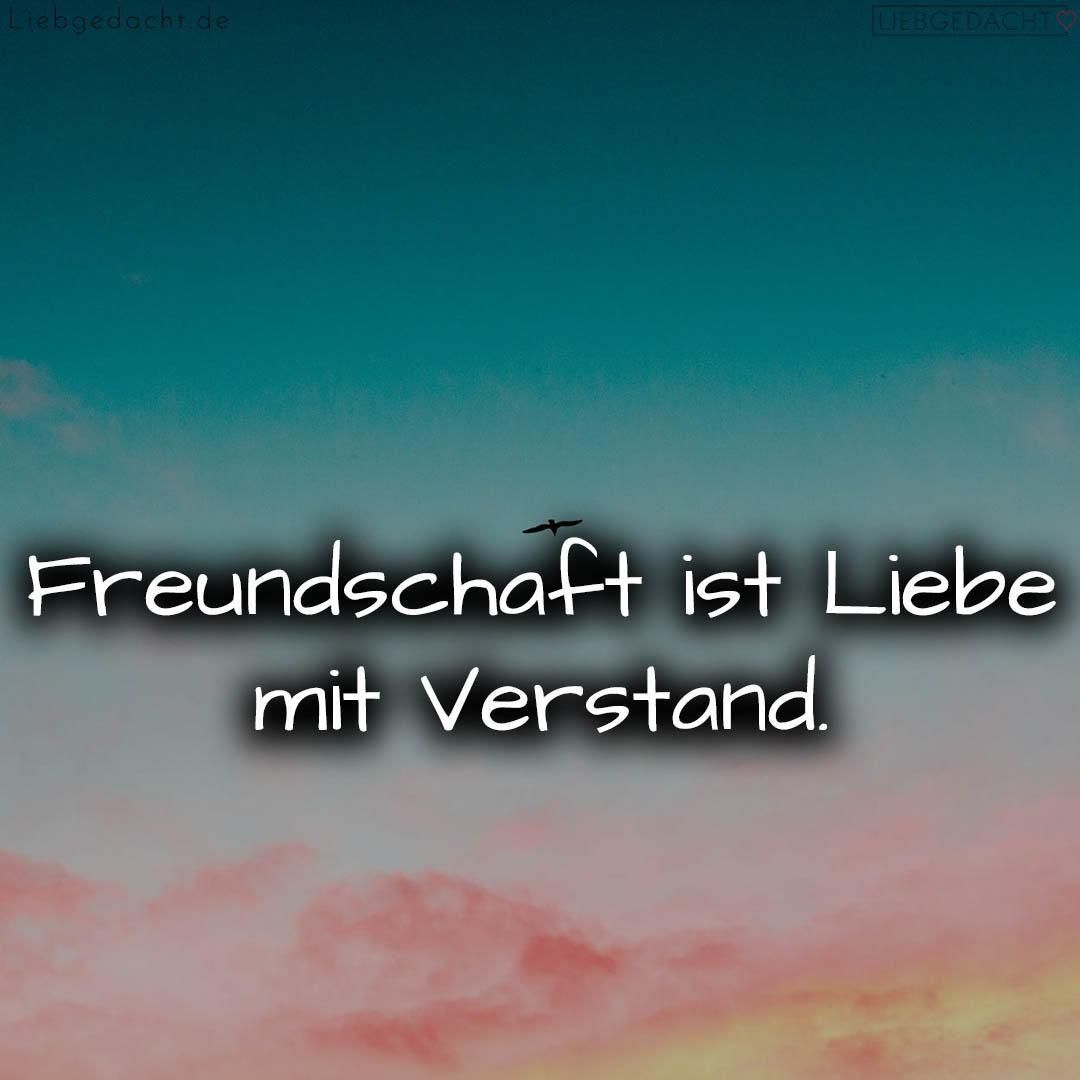 1716373486664dc7ee94dd9