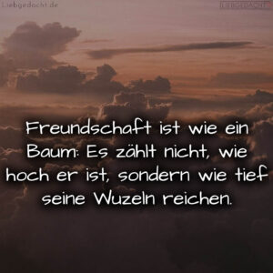 1716373521664dc81145ff7