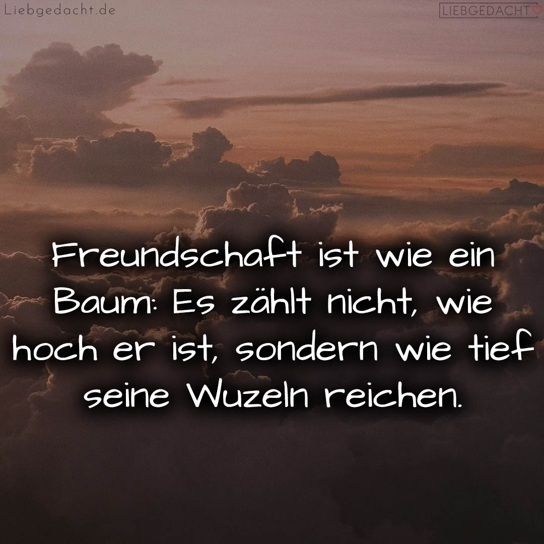 1716373521664dc81145ff7