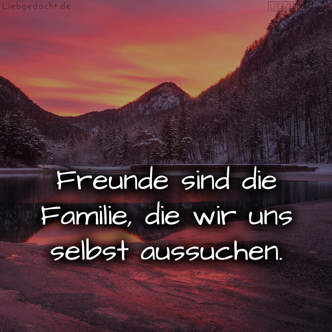 1716373536664dc8206783f