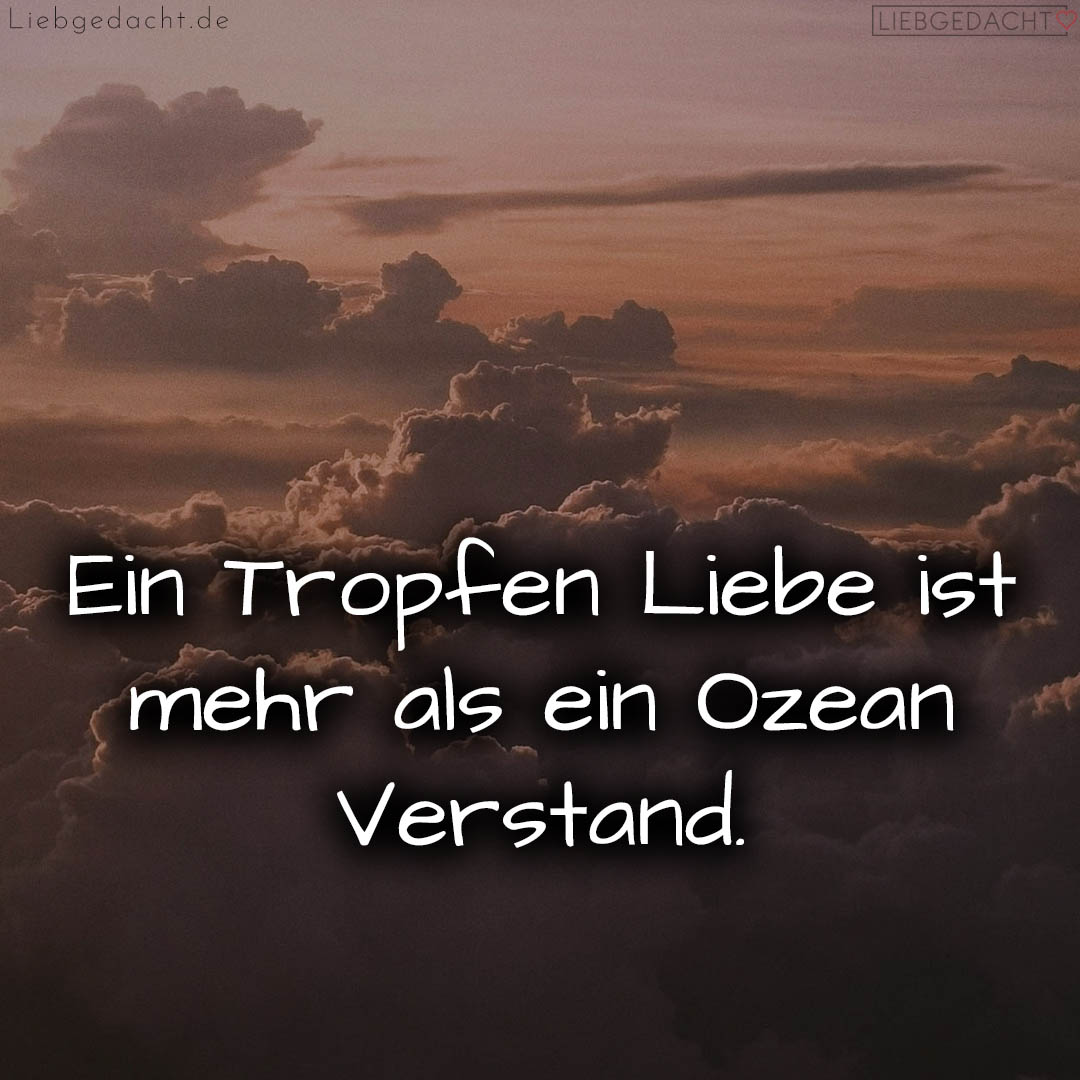 1716373605664dc865dd484