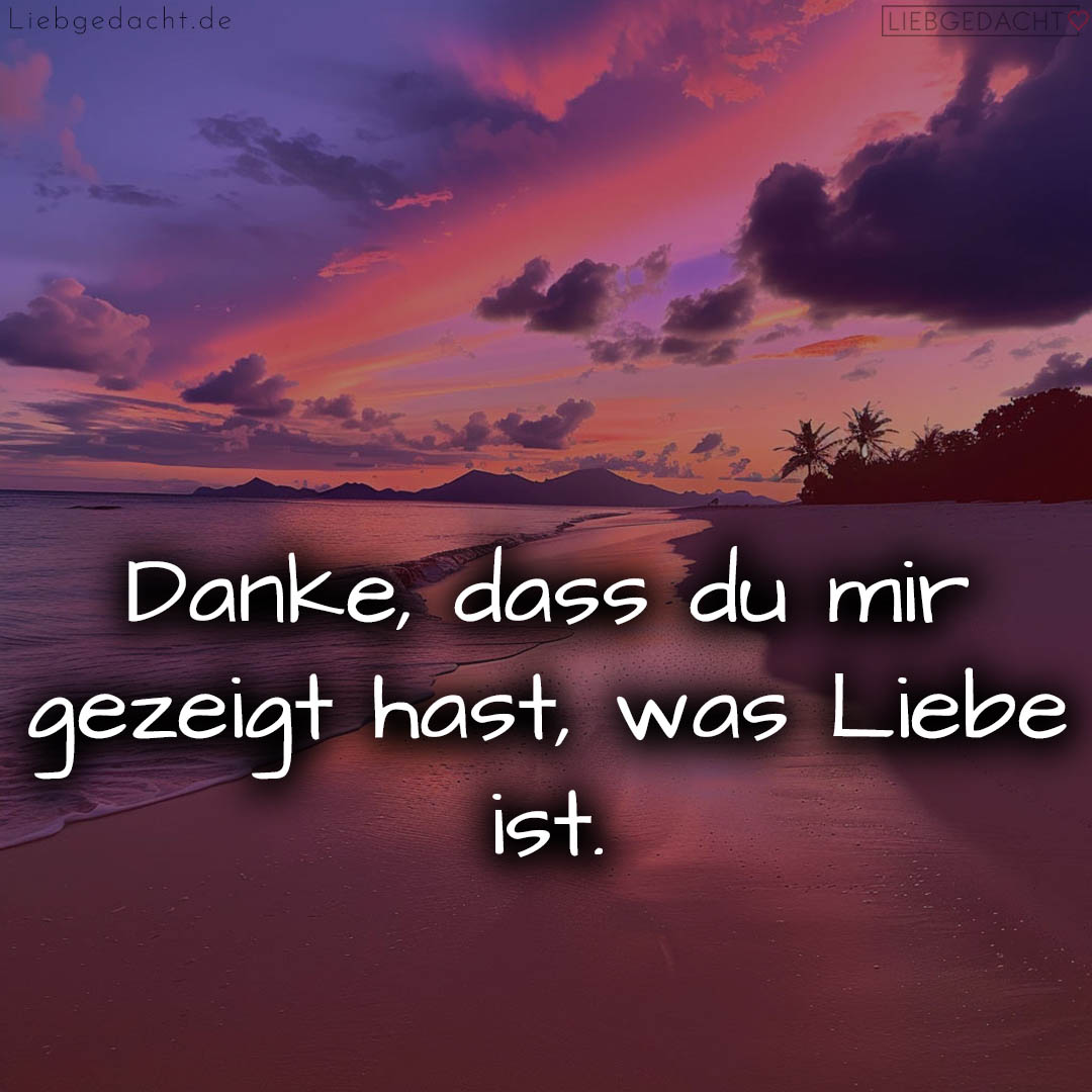 1716373623664dc877a71eb